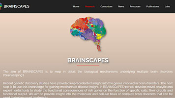 Website bouw door MiCtra: Brainscapes